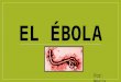 informacion sobre el ebola