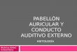 Histología del Pabellón Auricular y Conducto Auditivo Externo