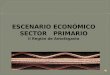 Escenario económico sector primario