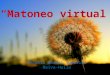 Matoneo virtual