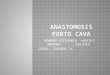 Anastomosis  ; su clasificación , sus funciones