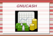 Tutorial para el uso de GNU Cash Ar11046 cf12010 cm10158_gg11051_np12001