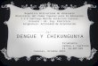 Dengue y chikungunya carlos castillo (43 ing. electrica)
