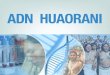 Enlace Ciudadano Nro. 377 -  ADN Huaorani