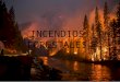 Incendios forestales examen