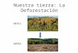 Equipo guerreros ambientales la deforestacion Grupo: 6° "B"