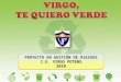 Proyecto en Gestión 2010 - Virgo te quiero verde