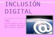 Inclusión digital