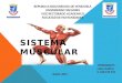 Tarea 6 biologia y conducta sistema muscular