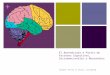 El Aprendizaje a partir de factores cognitivos, socio-emocionales y neuronales - Chris Lockwood/Carmen Feria