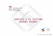 Sentilo i el sistema expert Skynet