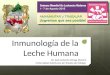 Conferencia inmunología de la leche humana. Dr. JA Ortega Martell