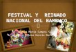 Festival y  reinado nacional del bambuco