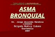Asma bronquial-100707