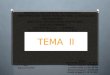 Diapositivas GERENCIA INDUSTRIAL (TEMA II) 