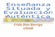 Ensenanza Situada- Evaluacion Autenmtica090224182138-Phpapp02
