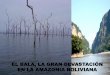 EL BALA, LA GRAN DEVASTACIÓN EN LA AMAZONIA BOLIVIANA