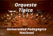 Orquesta t Pica Presentacion 2015