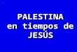 Palestina en Tiempo de Jesús