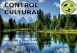 Control Cultural Diapositivas