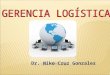 Gerencia Logistica - Niko