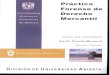 Practica Forense de Derecho Mercantil Area X-Derecho Mercantil