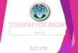 Cuentas Por Pagar -Guia 9 - Exposicion 2