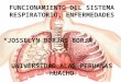 Enfermedades Del Sistema Respiratorio