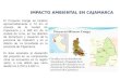 Impacto Ambiental de Cajamarca
