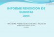 INFORME RENDICION DE CUENTAS HPEM 2014