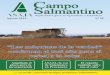 Campo Salmantino Agosto 2015.pdf