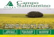 Campo Salmantino Mayo 2015.pdf