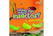 Sabes Algo Sobre Insectos