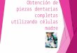 SEMINARIO - Obtención de Piezas Dentarias Completes Utilizando Células Madre