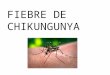 Chikungunya Ul