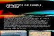 Desastre de Exxon Valdez