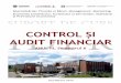 Suport Curs Control Si Audit