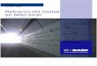 Refuerzo Hastial Falso Tunel Articulo BASF PDF1432579544462