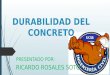ROSALES SOTO RICARDO - DURABILIDAD DEL CONCRETO.pptx