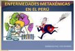 CECY ENFERMEDADES METAXEMICAS.pptx