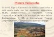 Minera Yanacocha