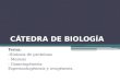 Meiosis sintesis y gametogenesis Biologia Molecular y Celular