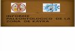 Informe Paleontologico de La Zona de Kayra-exposicion