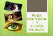 1. Fosa Ocular, Nasal y Bucal (Anatomía)
