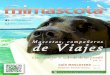 Revista Mimascota Edición 4ª Edición. Mascotas, compañeros de viajes