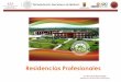 Residencia Profesional 2015 Publicación