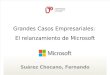 GRANDES CASOS EMPRESARIALES: Caso Microsoft
