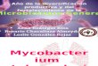 3° MICRO- MYCOBACTERIUM
