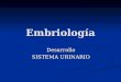Embriologia de Sistema Urinario