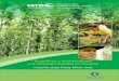Incentivos Desincentivos Forestales Panamá VF